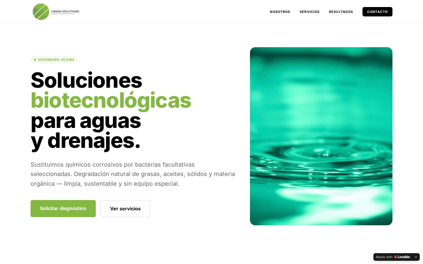 Vista del inicio del sitio Green Solutions